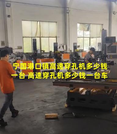 宁国港口镇高速穿孔机多少钱一台 高速穿孔机多少钱一台车